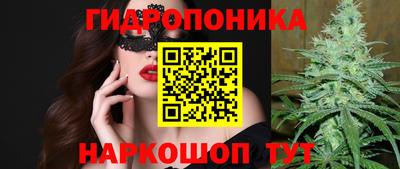 PSILOCYBIN Бугуруслан