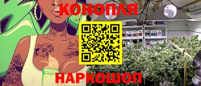 PSILOCYBIN Бугуруслан