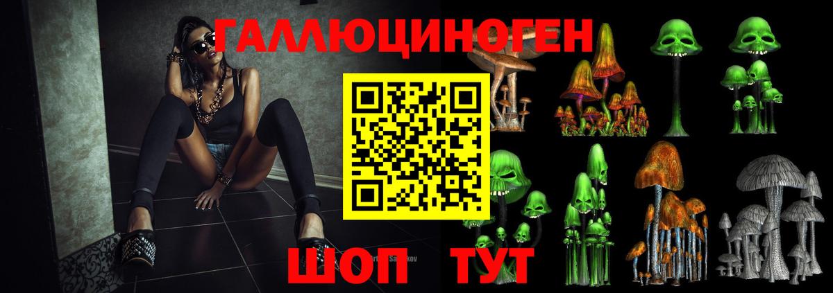 купить   Псилоцибиновые грибы Psilocybe  Вход с VPN  Снежинск  Галлюциногенные грибы Psilocybe 